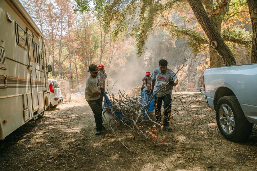 volunteers perform fire mitigation strategies by removing debris